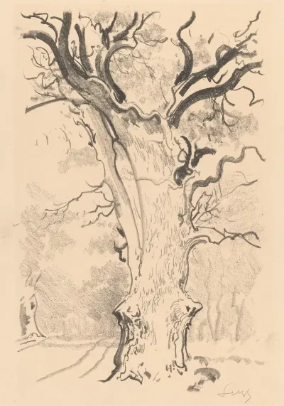 Oak About Rogalin