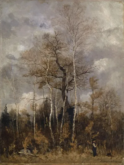 Oak And Birch Trees In Early Spring