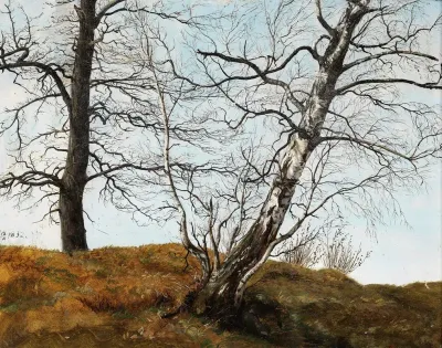 Oak And Birch