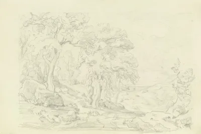 Oak Forest 2
