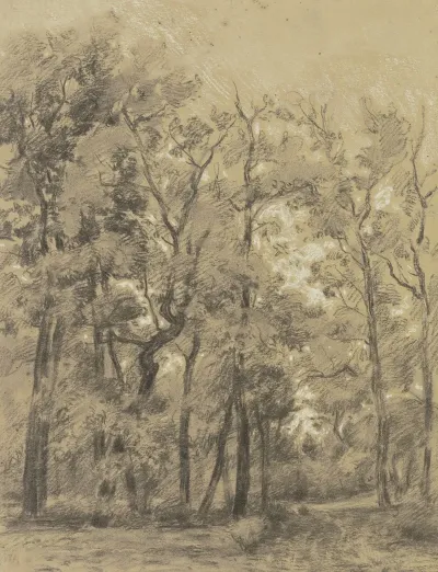 Oak Forest 4