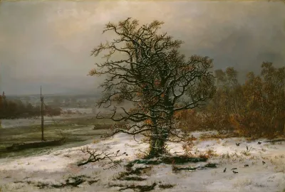 Oak Tree By The Elbe In Winter