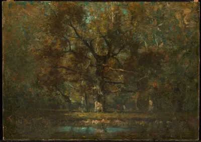 Oak Tree