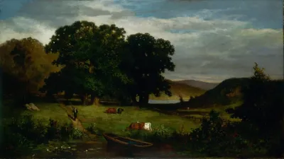 Oak Trees 2