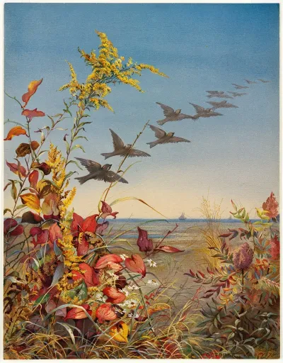 October