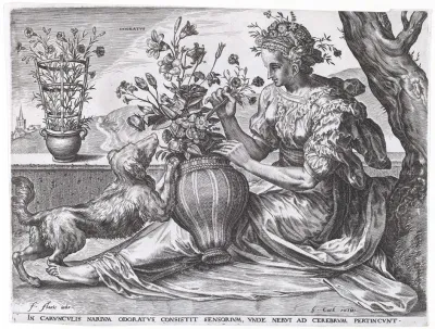 Odoratus