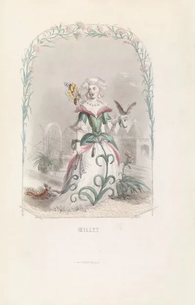 Oeillet