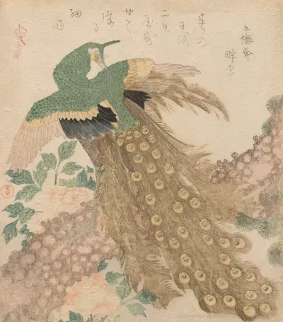 Of Three Pieces Peacock Mi Hira No Uchi