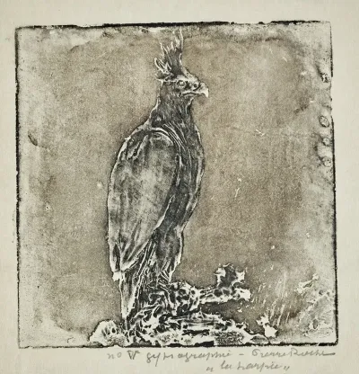 Oiseau De Proie Harpie 2