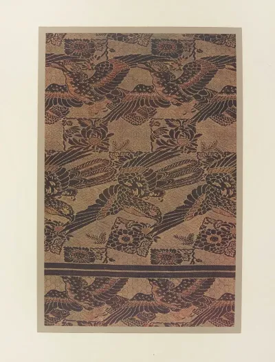 Oiseaux Au Vol