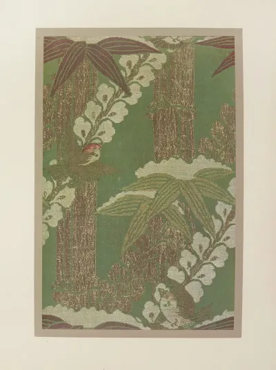 Oiseaux Et Bambous