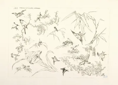 Oiseaux Et Fleurs Japonais