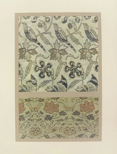 Oiseaux Et Plantes Stylisees Fleurs Et Papillons