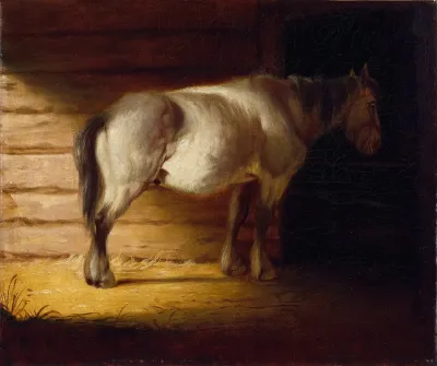 Old Field Horse