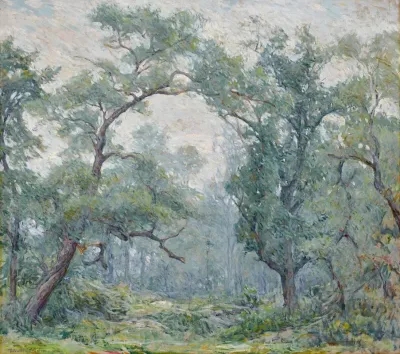 Old Willows 2