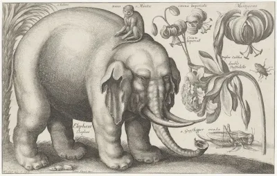 Olifant Aap Bloemen En Insecten