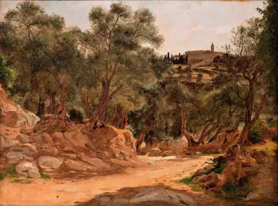 Olive Grove From Tivoli Near Rome