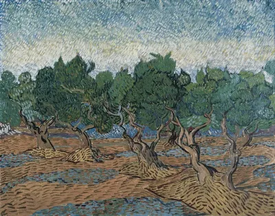 Olive Grove