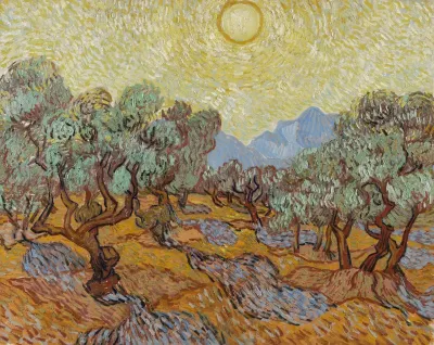 Olive Trees 2