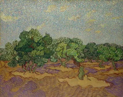 Olive Trees 3