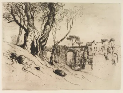 Olive Trees Of The Riviera