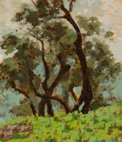 Olives Before Rain