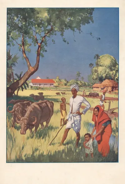 On A Farm In India