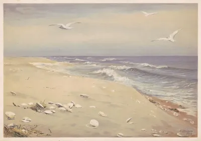 On The Beach 25
