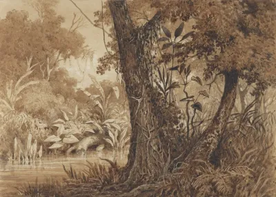 On The Cimaronero River