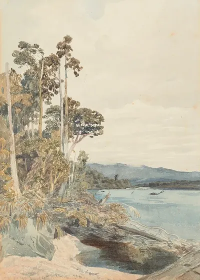 On The North East Bank Of The Buller