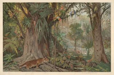 On The Upper Reaches Of The Amazon River