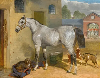 One Of The Scots Greys In A Yard With Dog And Goats