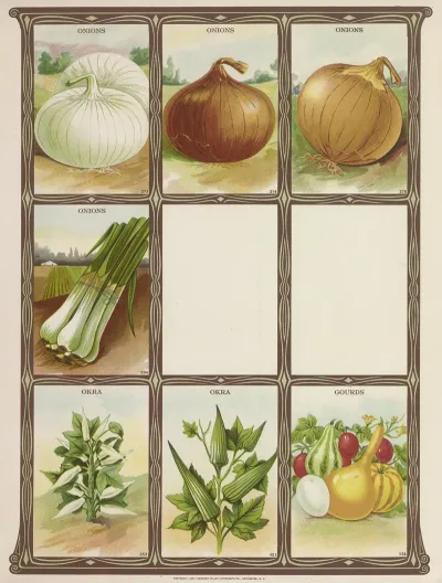 Onions Okra Gourds
