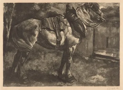 Opgetuigd Paard Op Een Oever