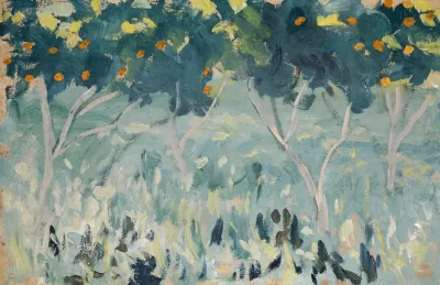 Orange Trees