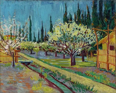 Orchard Bordered By Cypresses