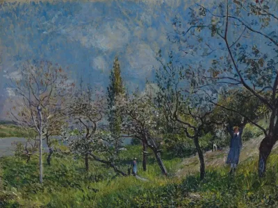 Orchard In Spring