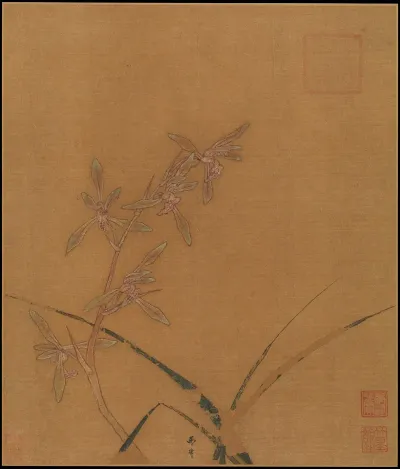 Orchids 3