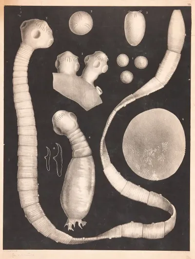 Organisms 3