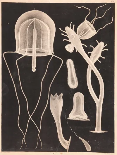 Organisms