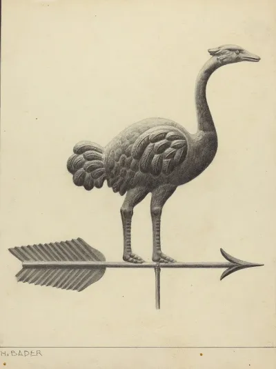 Ostrich Weather Vane
