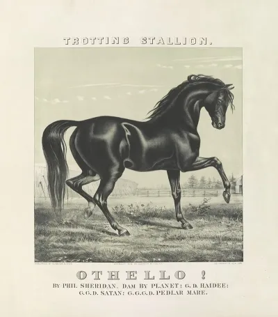 Othello Trotting Stallion