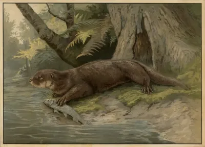 Otter 2