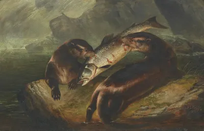 Otters With Salmon