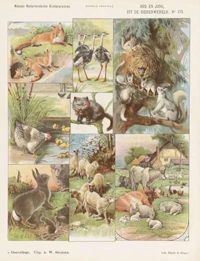 Oud En Jong Uit De Dierenwereld