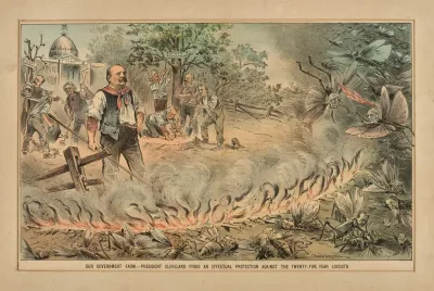 Our Government Farm President Cleveland Finds An Effective Protection Against The Twenty Five Year Locusts