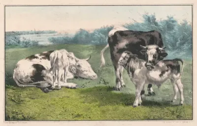 Our Pasture