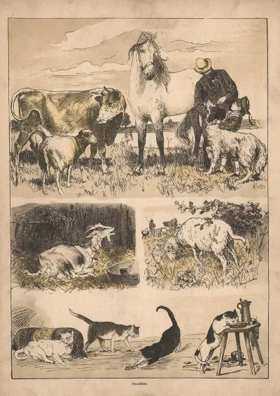 Our Pets