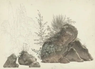 Overgrown Rocks