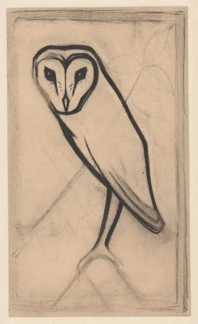 Owl 6